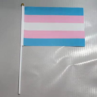 Kualitas Tinggi 100D Poliester Genggam LGBT Bendera Kustom Bendera Pelangi